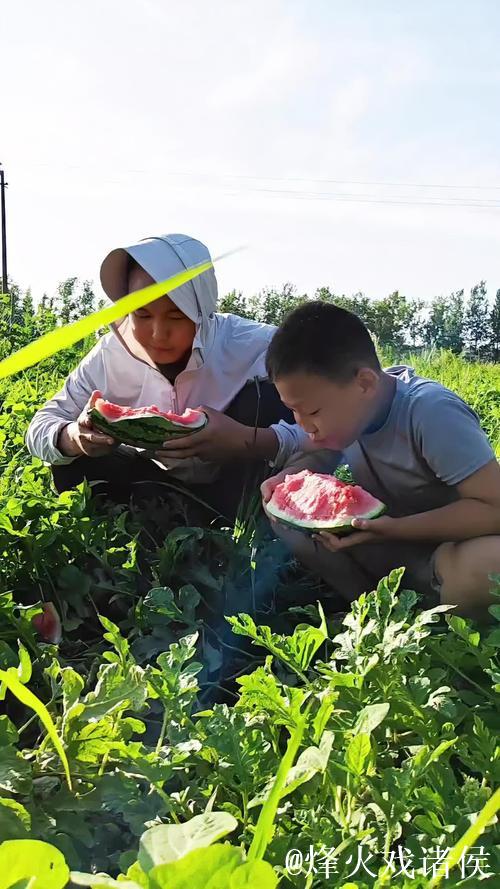 吃瓜网在线吃瓜：全程围观瓜田趣事